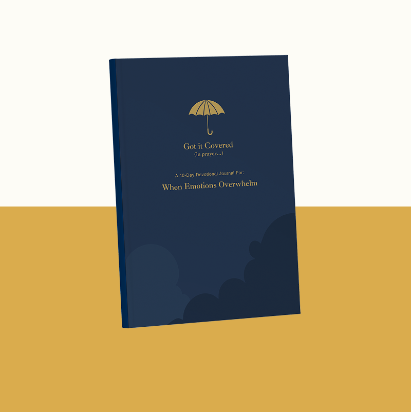 Got it Covered Series