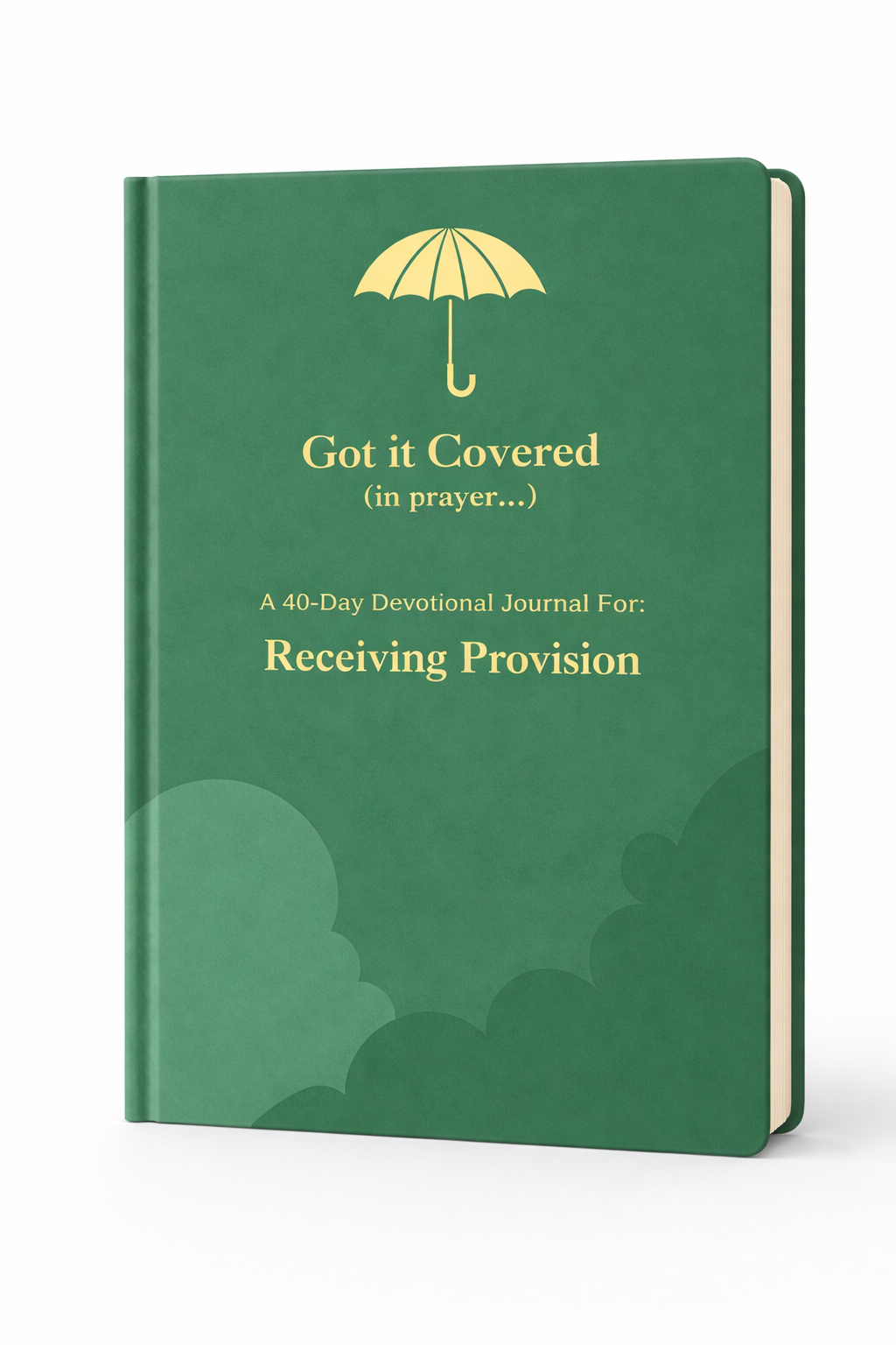 Got it Covered: 40 Day Receiving Provision Devotional